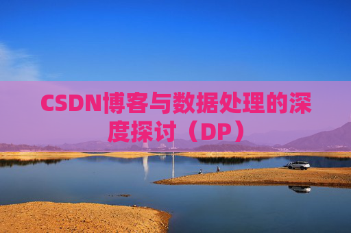 CSDN博客与数据处理的深度探讨（DP）
